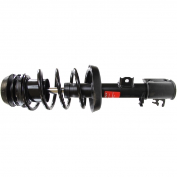 Suspension Strut and Coil Spring Assembly
