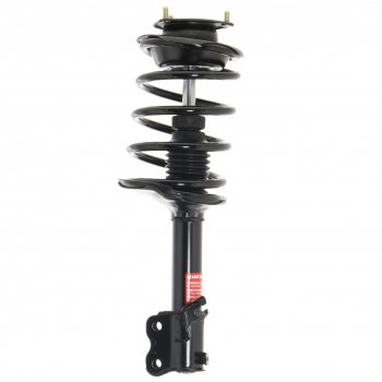 Suspension Strut and Coil Spring Assembly