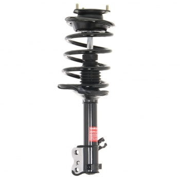 Suspension Strut and Coil Spring Assembly