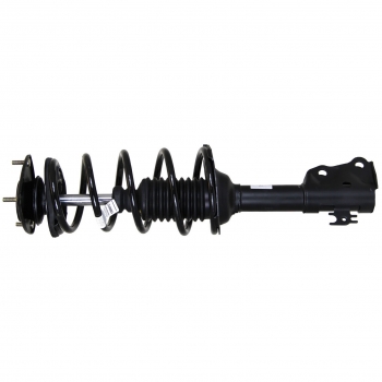 Suspension Strut and Coil Spring Assembly