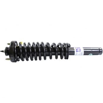 Suspension Strut and Coil Spring Assembly