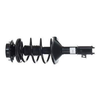 Suspension Strut and Coil Spring Assembly