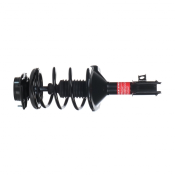 Suspension Strut and Coil Spring Assembly