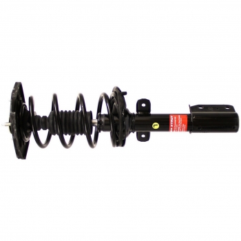 Suspension Strut and Coil Spring Assembly