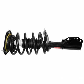 Suspension Strut and Coil Spring Assembly