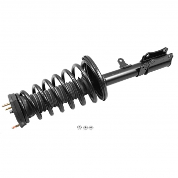 Suspension Strut and Coil Spring Assembly