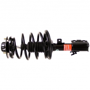 Suspension Strut and Coil Spring Assembly