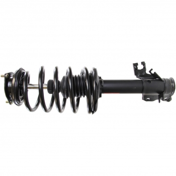 Suspension Strut and Coil Spring Assembly