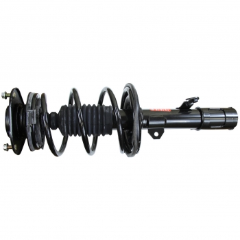 Suspension Strut and Coil Spring Assembly