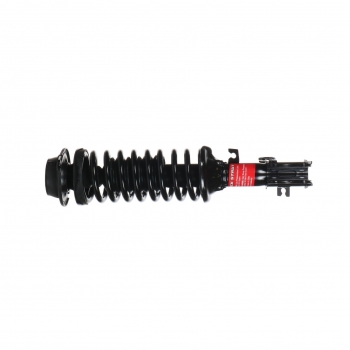 Suspension Strut and Coil Spring Assembly