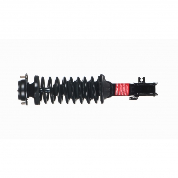 Suspension Strut and Coil Spring Assembly