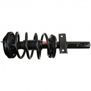 Suspension Strut and Coil Spring Assembly