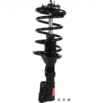 Suspension Strut and Coil Spring Assembly