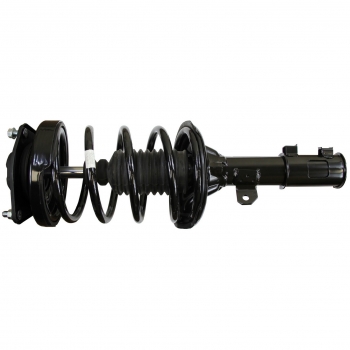 Suspension Strut and Coil Spring Assembly