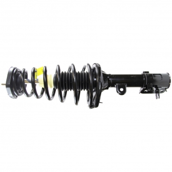 Suspension Strut and Coil Spring Assembly