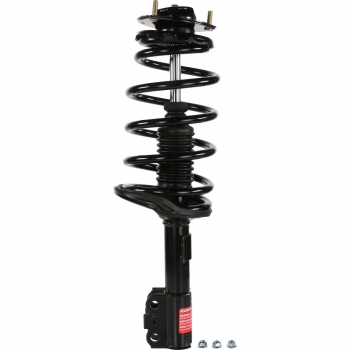 Suspension Strut and Coil Spring Assembly