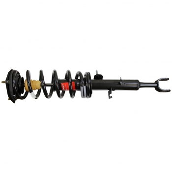 Suspension Strut and Coil Spring Assembly