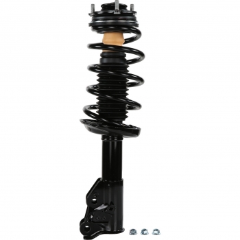 Suspension Strut and Coil Spring Assembly