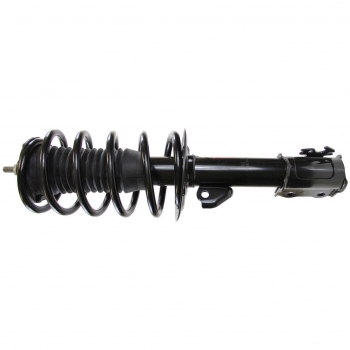 Suspension Strut and Coil Spring Assembly