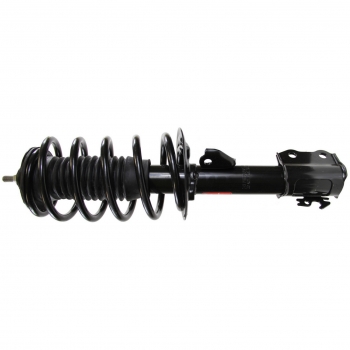 Suspension Strut and Coil Spring Assembly