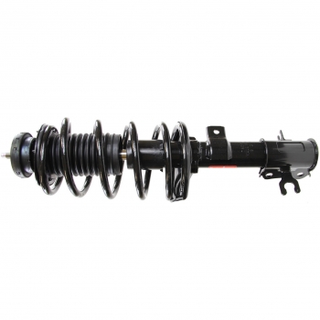 Suspension Strut and Coil Spring Assembly