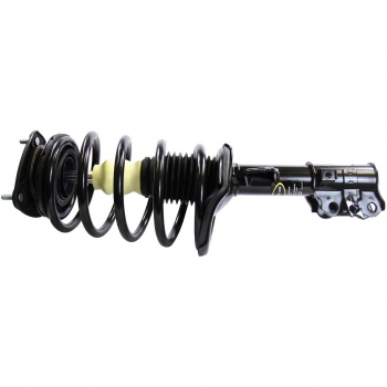 Suspension Strut and Coil Spring Assembly