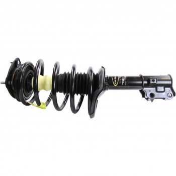 Suspension Strut and Coil Spring Assembly