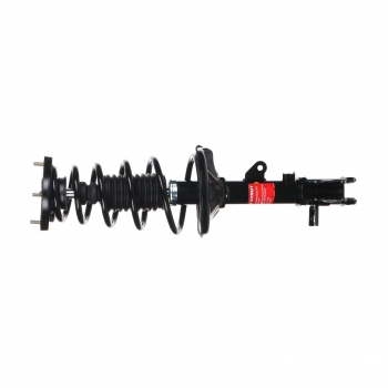 Suspension Strut and Coil Spring Assembly