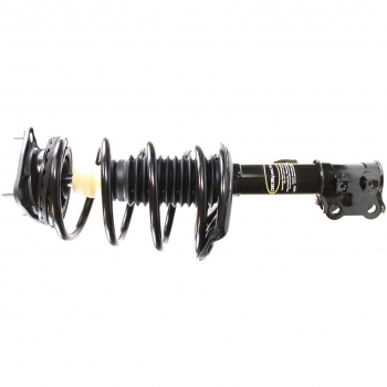 Suspension Strut and Coil Spring Assembly