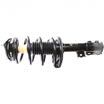 Suspension Strut and Coil Spring Assembly