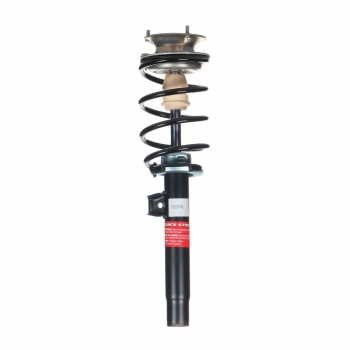 Suspension Strut and Coil Spring Assembly