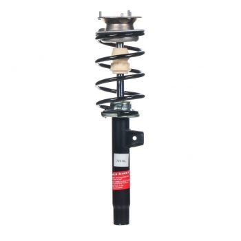 Suspension Strut and Coil Spring Assembly