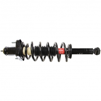 Suspension Strut and Coil Spring Assembly