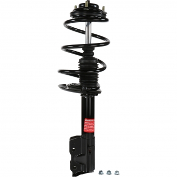 Suspension Strut and Coil Spring Assembly