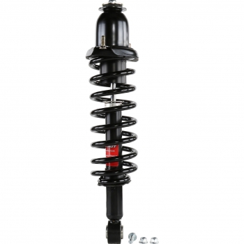 Suspension Strut and Coil Spring Assembly