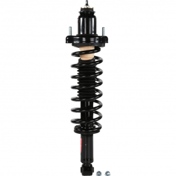 Suspension Strut and Coil Spring Assembly