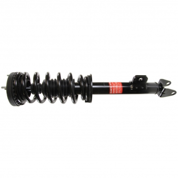 Suspension Strut and Coil Spring Assembly