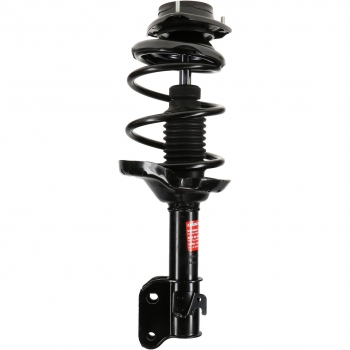 Suspension Strut and Coil Spring Assembly