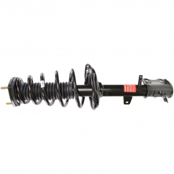Suspension Strut and Coil Spring Assembly