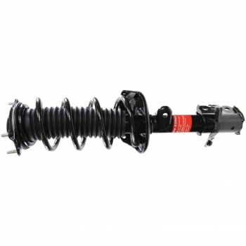 Suspension Strut and Coil Spring Assembly