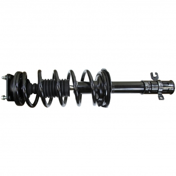 Suspension Strut and Coil Spring Assembly