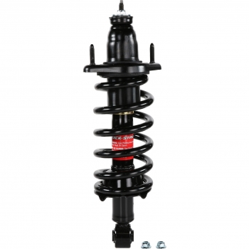 Suspension Strut and Coil Spring Assembly