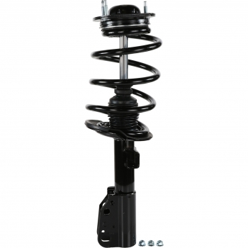 Suspension Strut and Coil Spring Assembly