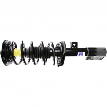Suspension Strut and Coil Spring Assembly
