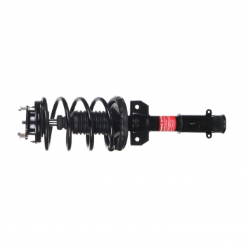 Suspension Strut and Coil Spring Assembly
