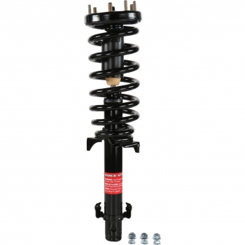 Suspension Strut and Coil Spring Assembly