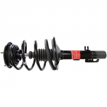 Suspension Strut and Coil Spring Assembly