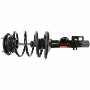 Suspension Strut and Coil Spring Assembly