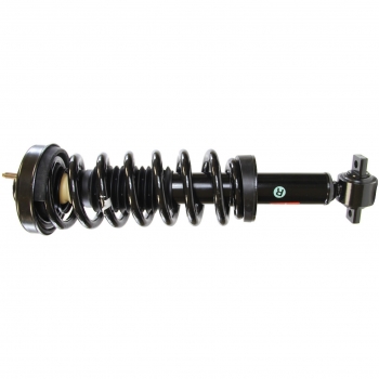 Suspension Strut and Coil Spring Assembly