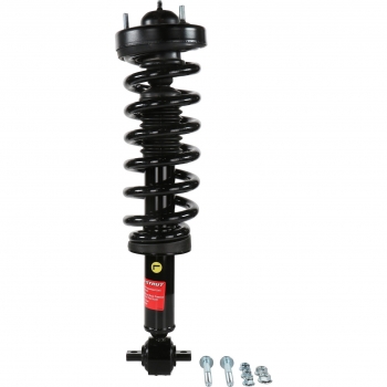 Suspension Strut and Coil Spring Assembly